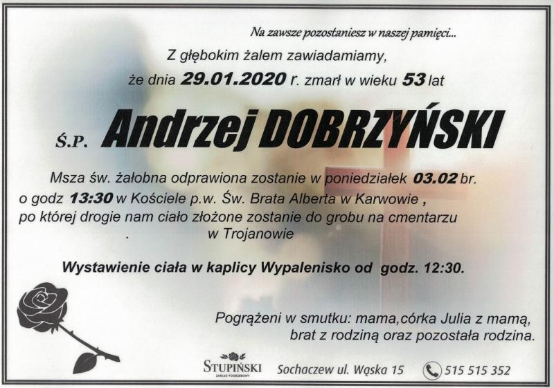 Andrzej Dobrzyński
