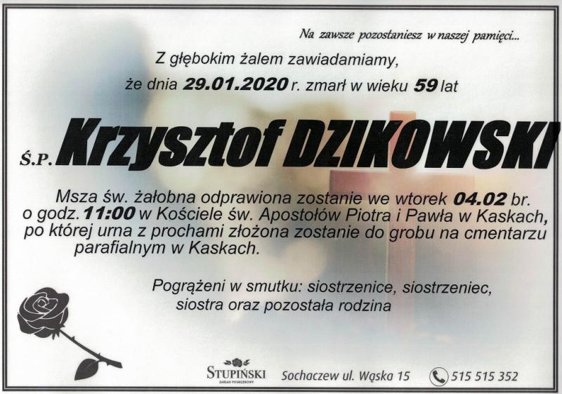 Krzysztof Dzikowski