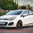 zdjęcie nr 