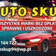 zdjęcie nr 