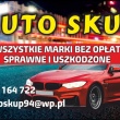 zdjęcie nr 
