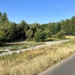zdjęcie nr 
