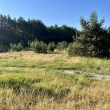 zdjęcie nr 
