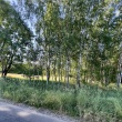 zdjęcie nr 