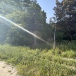 zdjęcie nr 