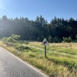 zdjęcie nr 