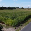 zdjęcie nr 