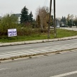 zdjęcie nr 