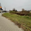 zdjęcie nr 