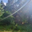 zdjęcie nr 