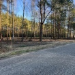 zdjęcie nr 
