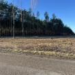 zdjęcie nr 