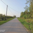 zdjęcie nr 
