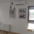 zdjęcie nr 