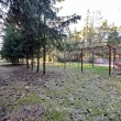 zdjęcie nr 