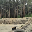 zdjęcie nr 