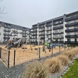 zdjęcie nr 