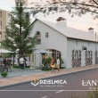 zdjęcie nr 