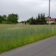 zdjęcie nr 