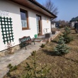 zdjęcie nr 