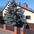 zdjęcie nr 