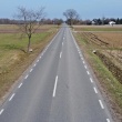 zdjęcie nr 