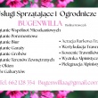 zdjęcie nr 
