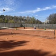zdjęcie nr 