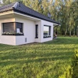 zdjęcie nr 