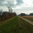 zdjęcie nr 