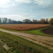 zdjęcie nr 