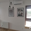 zdjęcie nr 