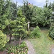 zdjęcie nr 