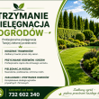 zdjęcie nr 