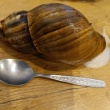 zdjęcie nr 