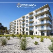 zdjęcie nr 