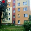 zdjęcie nr 