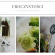 zdjęcie nr 
