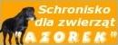 Miejskie Schronisko w Sochaczewie - Azorek
