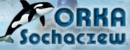 Stowarzyszenie Rodziców na Rzecz Pływania "Orka"