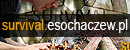 Survival Sochaczew