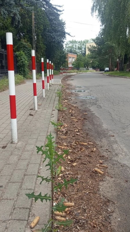 Czyżby miejskim służbom w Sochaczewie zabrakło mioteł i łopat?