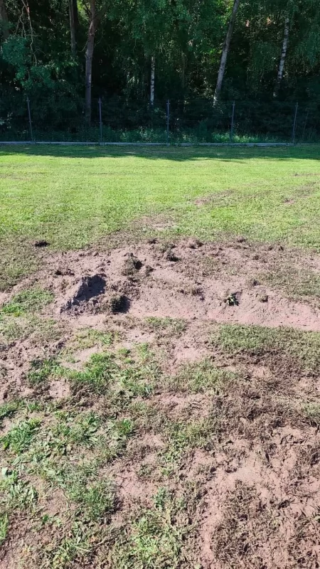 Wandale zniszczyli  boisko w Wólce Smolanej
