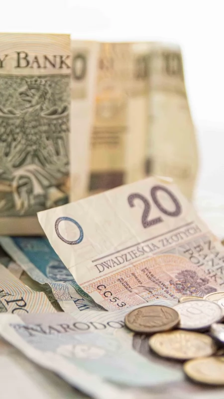 Biedny jak sługa narodu – kto z naszych posłów i radnych Sejmiku jest milionerem, a kto musi spłacać kredyty?