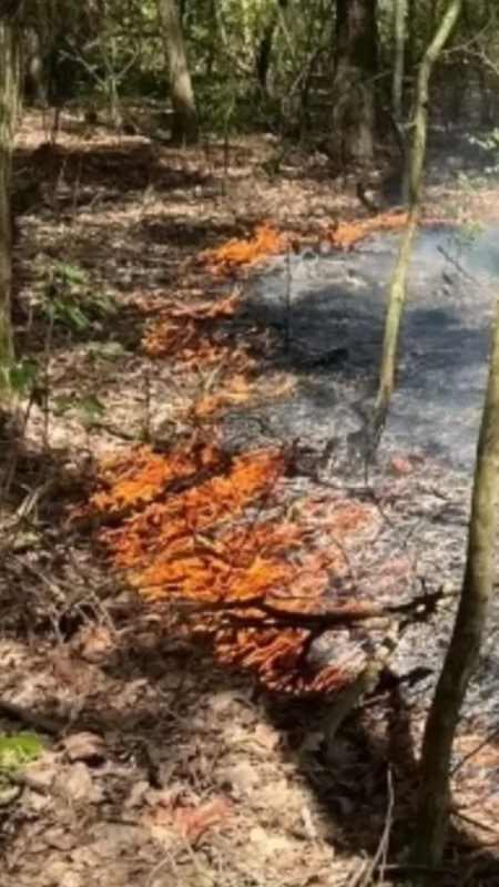 Sochaczew przygotuje się na zmiany klimatu — miasto pozyskało blisko 188 tysięcy z EU