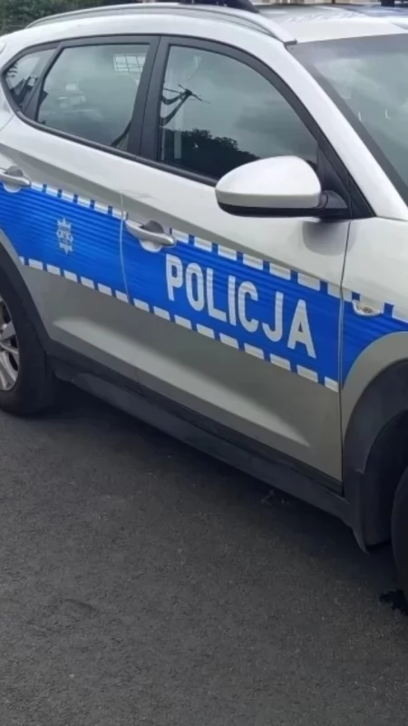 Spirala do ziemniaków zamiast drogiego sprzętu