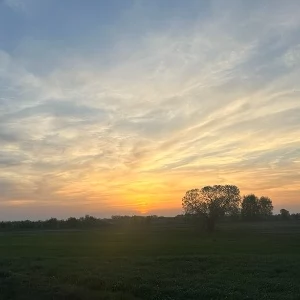 Sochaczew pogoda - prognoza pogody na jutro i prognoza długoterminowa | e-Sochaczew.pl