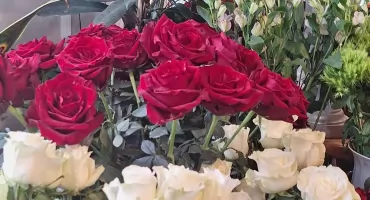 Dziękuję Ci, Mamo! Dziękuję Ci, Tato! – wyjątkowy spektakl muzyczny w Sochaczewie