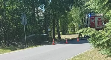Pożar lasu w Mokasie 