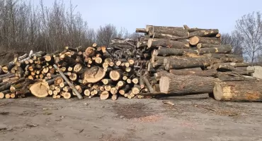 Urząd Miejski w Sochaczewie rozdaje drewno opałowe
